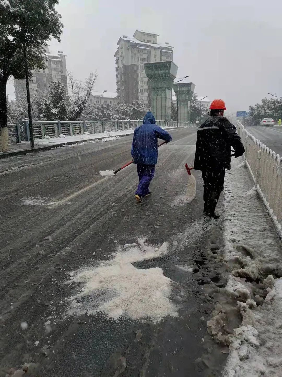 202307061016.jpg 202307061016.jpg