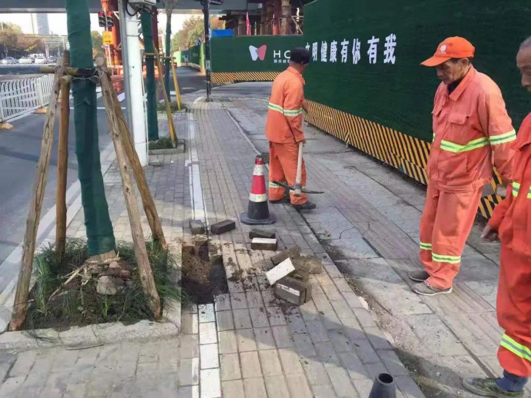 202307069503.jpg 202307069503.jpg